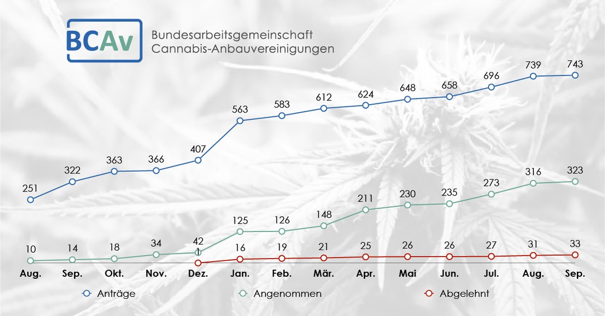 Cannabis-Anbauvereinigungen veröffentlichen 19 Forderungen zur Verbesserungen des Cannabisgesetzes

BCAv zählt über 300 Anbaugenehmigungen, kostenfreies Programm-Webinar am Donnerstag

Die Pressemitteilung finden Sie hier: anbauverband.de/pressemitteilu…