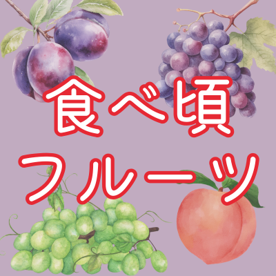 oh_Cherry_Farm's tweet photo. 今週末はたくさんのフルーツがみなさんをお待ちしています！
プラム、プルーン、ぶどう、桃・・・！
北海道で桃を食べられるのは珍しいかも🍑
詳しくはブログをご確認ください！

https://t.co/rzd2Is23iP https://t.co/CBfJV1vqqj