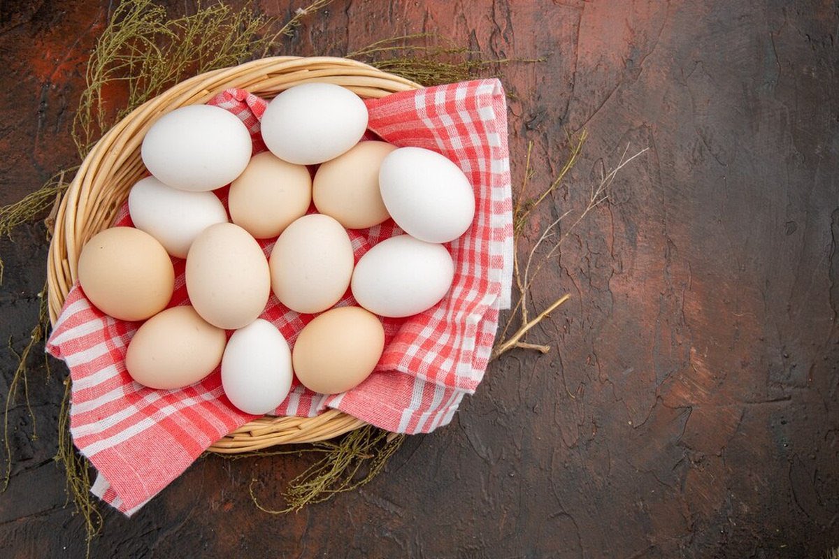 para10sf's tweet photo. In July 2025, the United States began importing chicken eggs from Russia for the first time in 33 years. https://t.co/0eU2dOd3gj
