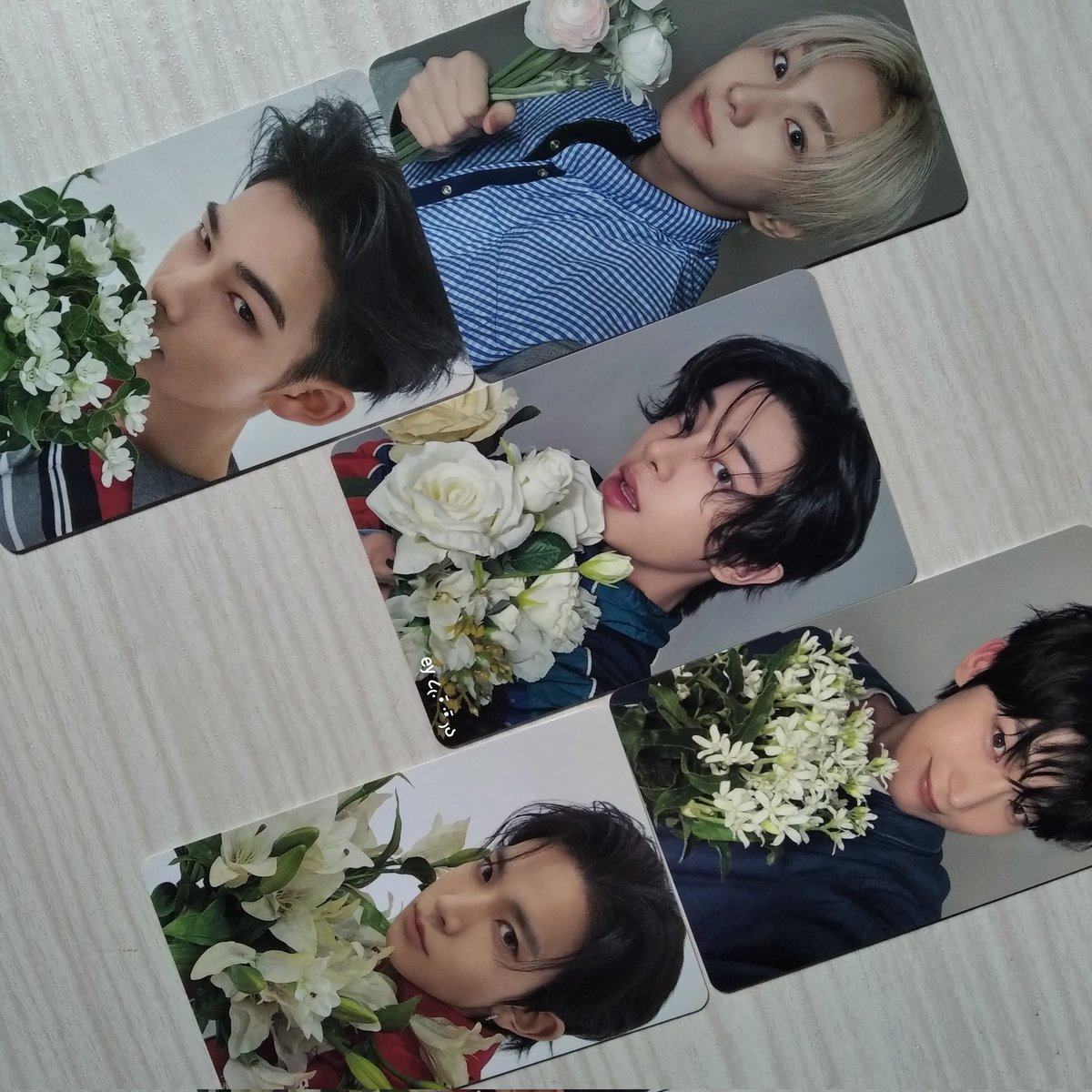 httpshwon's tweet photo. :¨ ·.· ¨:
`· . today’s mail .ᐟ.ᐟ 📦
from @0420pjscart
yoi solo jacket weverse japan pob pcs ♡
⊂⊃ #eymails
⊂⊃ #azieproofs https://t.co/LtNry7NQP1