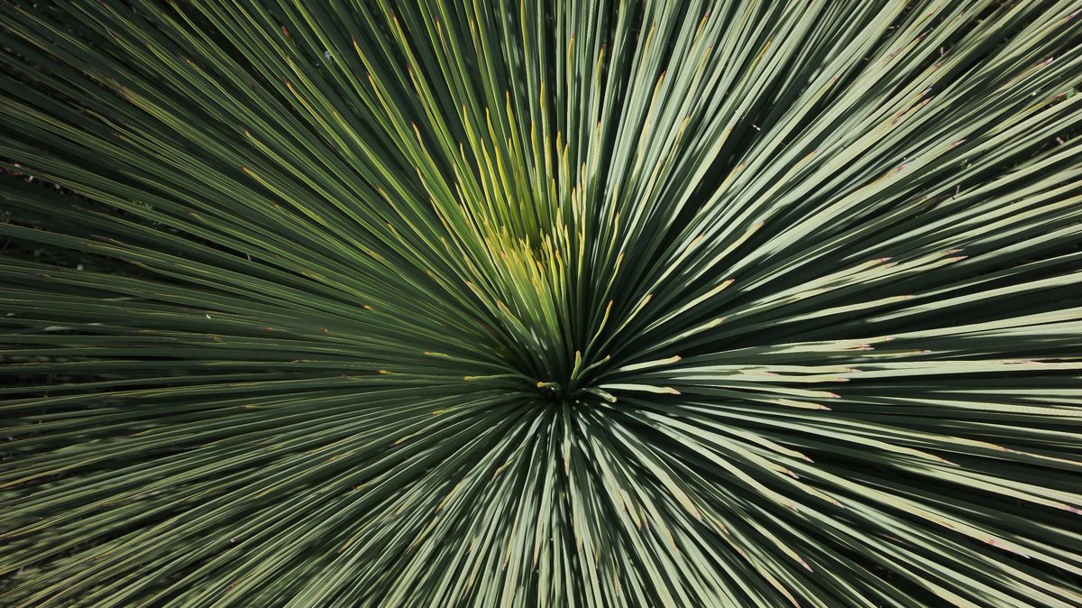 Попросил купить <a href="/electro_ovechka/">Anja Fjodorova</a> самую душевую соль. 
Оказалось что океан в Австралии недостаточно соленый, поэтому соль делают в ЮАР