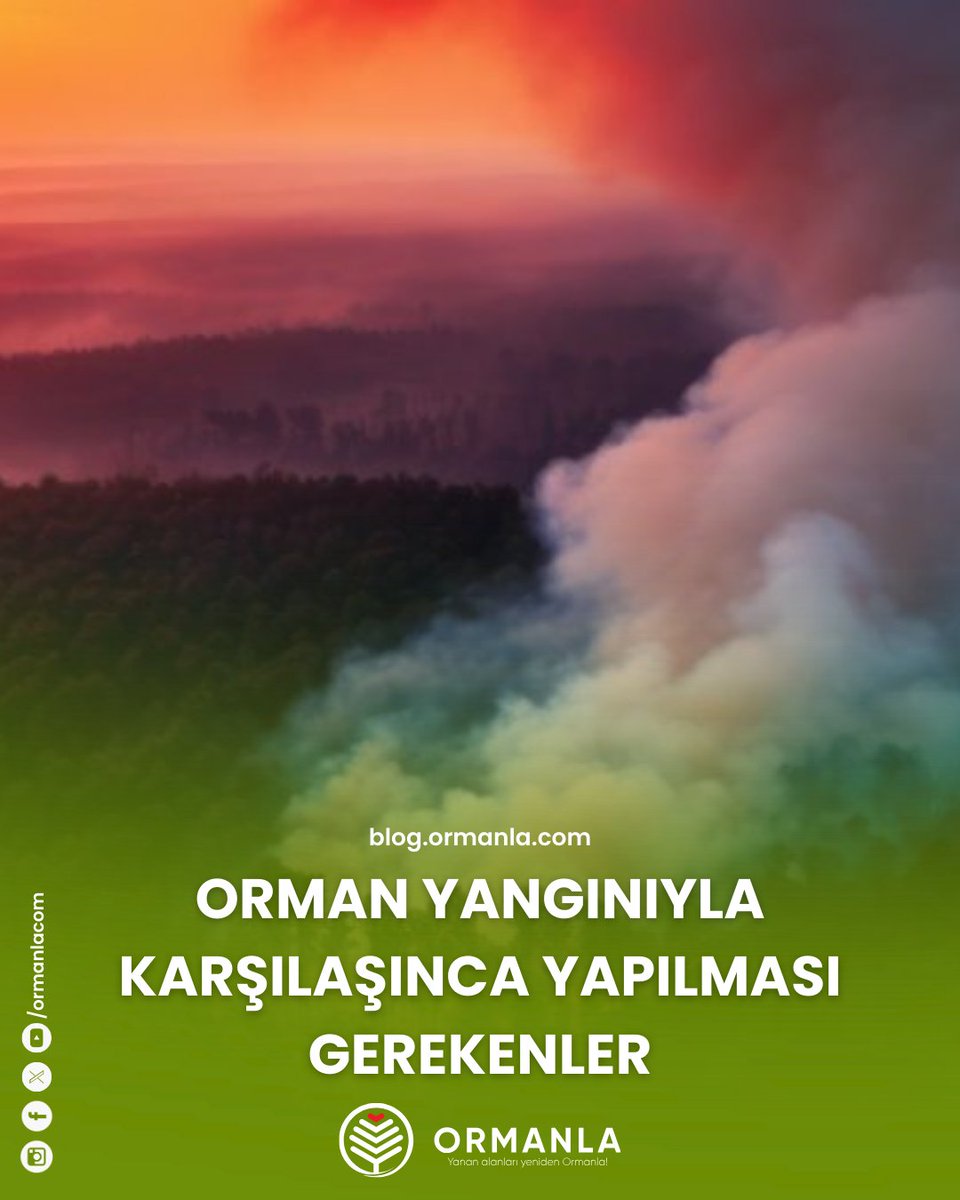 🌳🔥 Bir orman yangınına tanık olduğunuzda atacağınız ilk adımlar, felaketin büyümesini engellemek adına kritik önem taşır.
👉 Bu önemli adımları öğrenmek için, blog sayfamızı ziyaret edin:
🔗 blog.ormanla.com