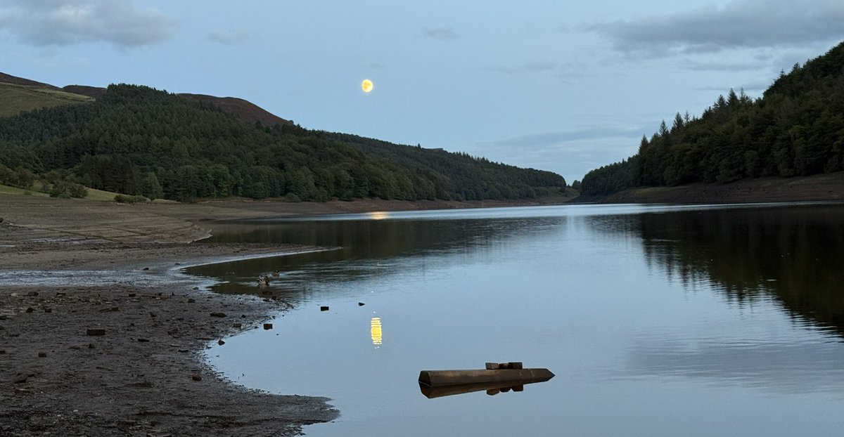 Andy Flint tweet media