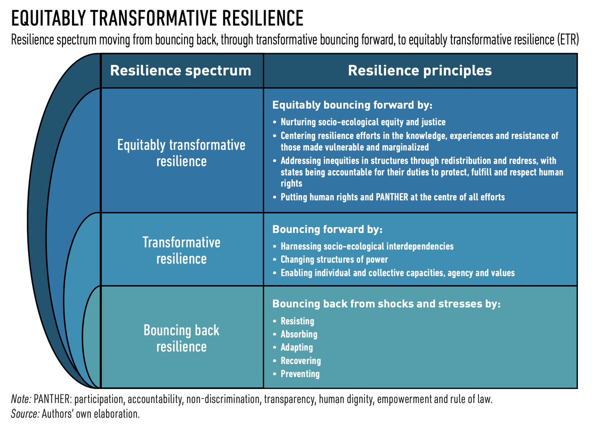 SDG2AdvocacyHub's tweet image. 👩‍🌾🍽️How can #foodsystems be more resilient in the long-term &amp;amp; help diminish future #shocks?

Check out🆕@hlpe_cfs report "Building resilience in food systems" identifying policy pathways to achieve equitably transformative resilience.
🔗fao.org/cfs/cfs-hlpe/p… #GoodFood4All
