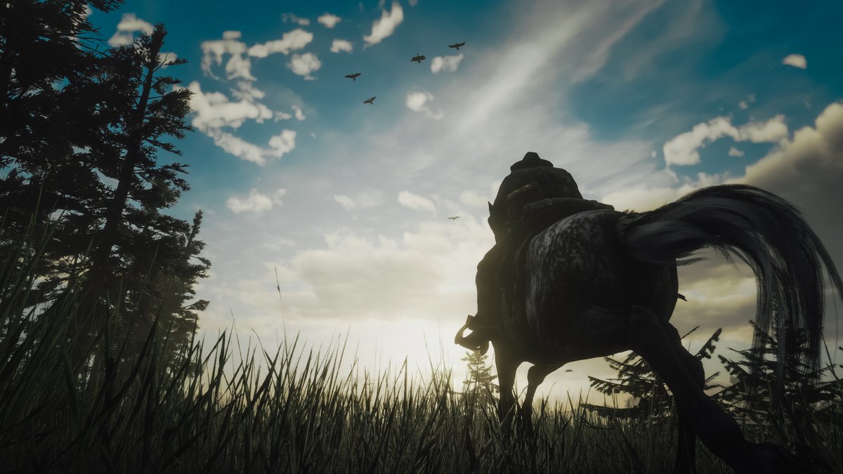 Red Dead Redemption 2 | PS5 Pro

#VirtualPhotography #VP #PhotoMode #RDR2