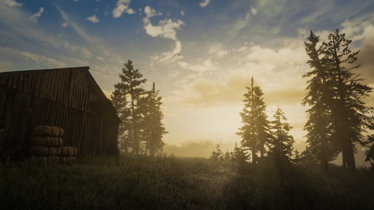 Red Dead Redemption 2 | PS5 Pro  

#VirtualPhotography #VP #PhotoMode #RDR2