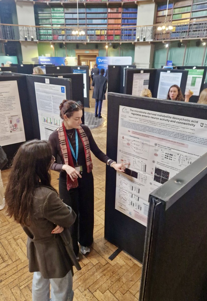 Morgane E. Le Dréan tweet media