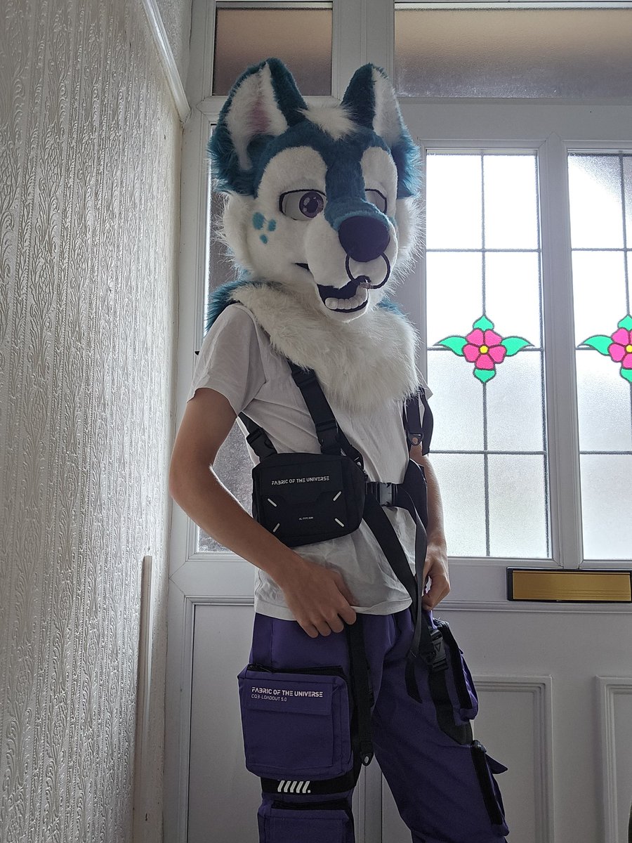 NotSproket's tweet photo. Fursuit post on a Friday 

Crazy

But I have to show you.... I got clothes 😯

#FursuitFriday https://t.co/BsJQlqtrSw