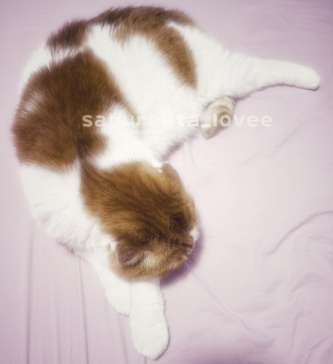眠くてしゃーない😪