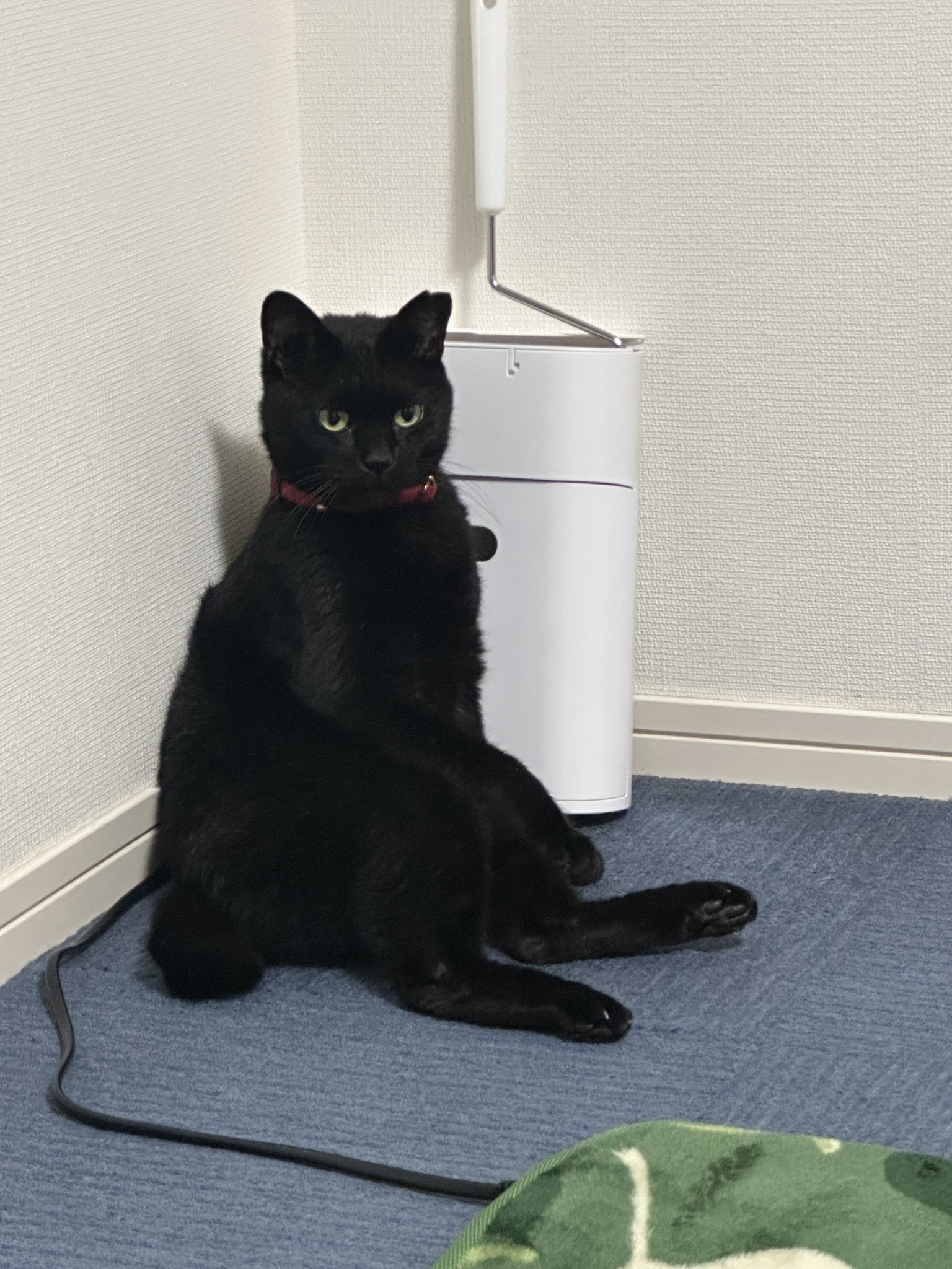 黒猫 on X: 