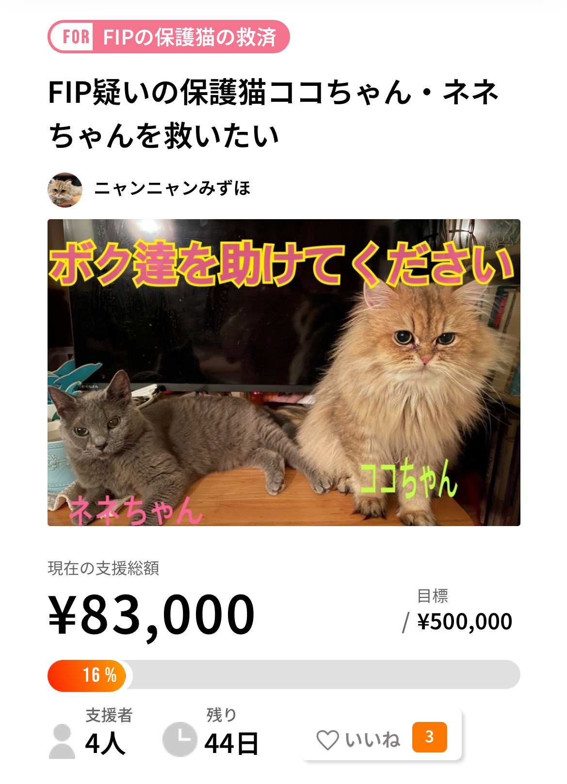 みーにゃん様ご確認中 ニディガ東名阪POPUPSTORE】超てんちゃんみにみにぬいぐるみ