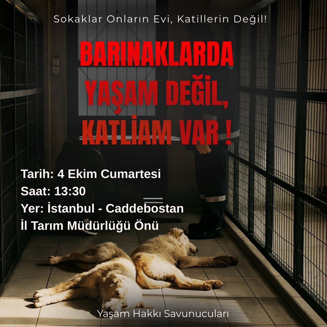 Barınaklarda yaşam değil KATLİAM VAR❗️

Katliama sessiz kalma, YAŞAMDAN YANA OL ❗️Unutma onların haykıran sesi SENSİN! 

🗓️4 Ekim Dünya Hayvanları Koruma Gününde, 

🕖 Saat 13:30‘da 

📍Caddebostan İl Tarım Orman Müdürlüğü önünde; 

 MASUMLARIN ELLERİNDEN ALINAN YAŞAM HAKKI için!