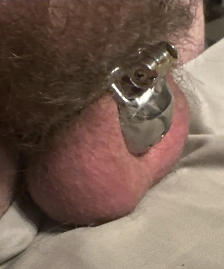 BrickThickDick's tweet photo. @nashcruise has a truly useless microclit for a penis. Why even bother caging it? https://t.co/UFD0xlodYS