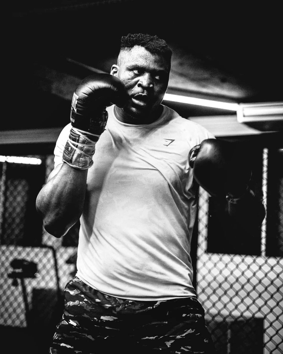 TheCameroonianZ's tweet photo. Joyeux 39e anniversaire à Francis Ngannou. 

#Cameroon🇨🇲 https://t.co/vlALWQi0Rn