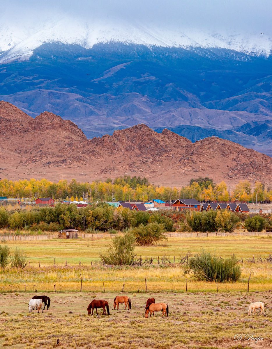 Найган ганхах
Дөрвөн цагийн дотроос 
Намар л гэдэг 
Нулимс унагам улирал аа

Данзангийн Нямсүрэн