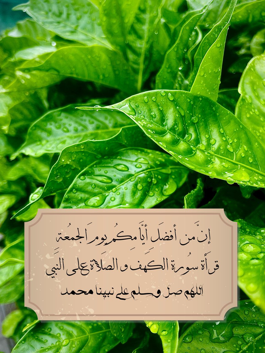 اللهم صل وسلم على نبينا محمد 🤎