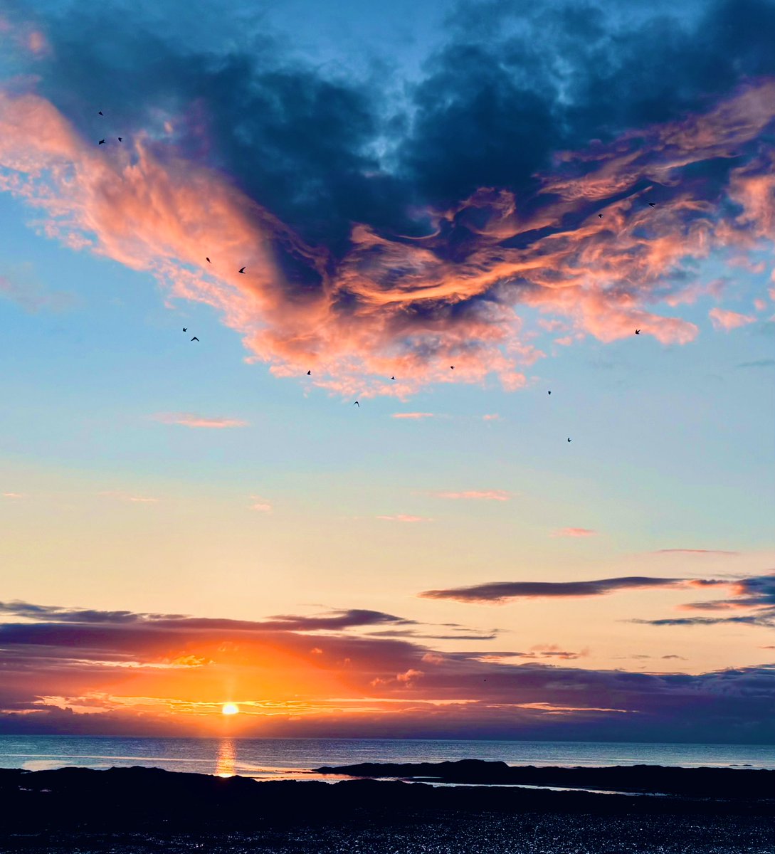 Tiny swifts dancing in the clouds as the sun says good morning. That Friday feeling 🌅