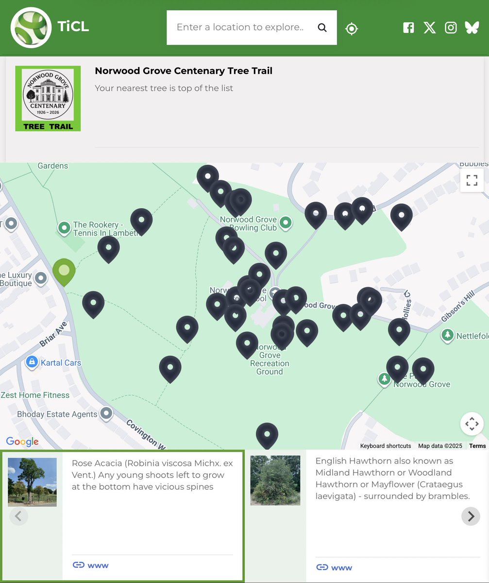TiCLme's tweet image. Know what this tree is ? 🤔

Norwood Grove celebrate their centenary with a stunning new #treetrail 👏🏼 

You can see it here: 

ticl.me/norwood-grove-…