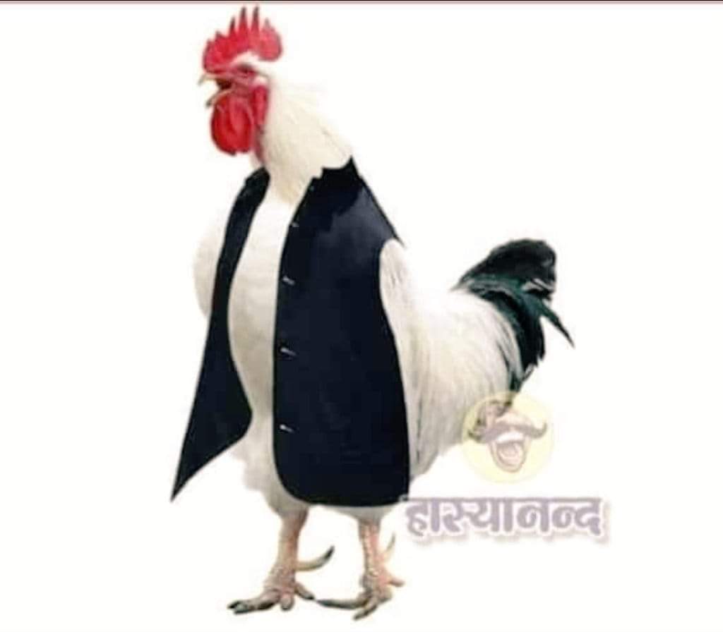 <a href="/yadavakhilesh/">Akhilesh Yadav</a> बांग कब दोगे मियां ❓☺️