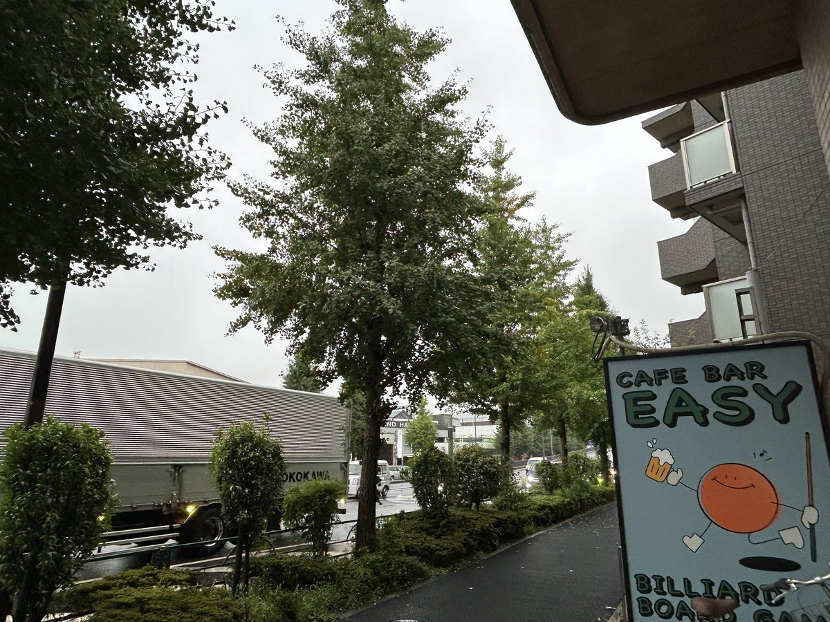 台風を心配してましたが、大丈夫そう
風がちょっと強いくらいです
