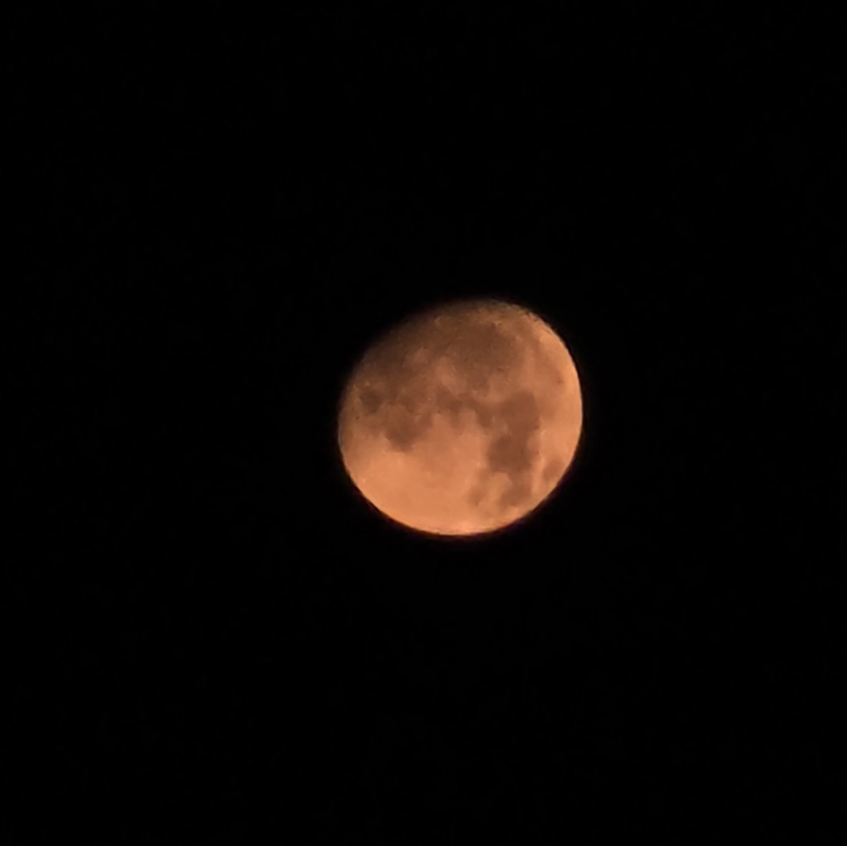 boho_homemaker's tweet photo. I know there is a blood moon Sept 7th-8th, but it's not suppose to be visible in the states. Is anyone else seeing this tonight?? If it's not a blood moon, is there another explanation? TIA! @ryanvaughan @ARwx @ArWxWatchers @WXAaronJC #arwx #finchAR #redmoon https://t.co/IIs9Td8Rfr