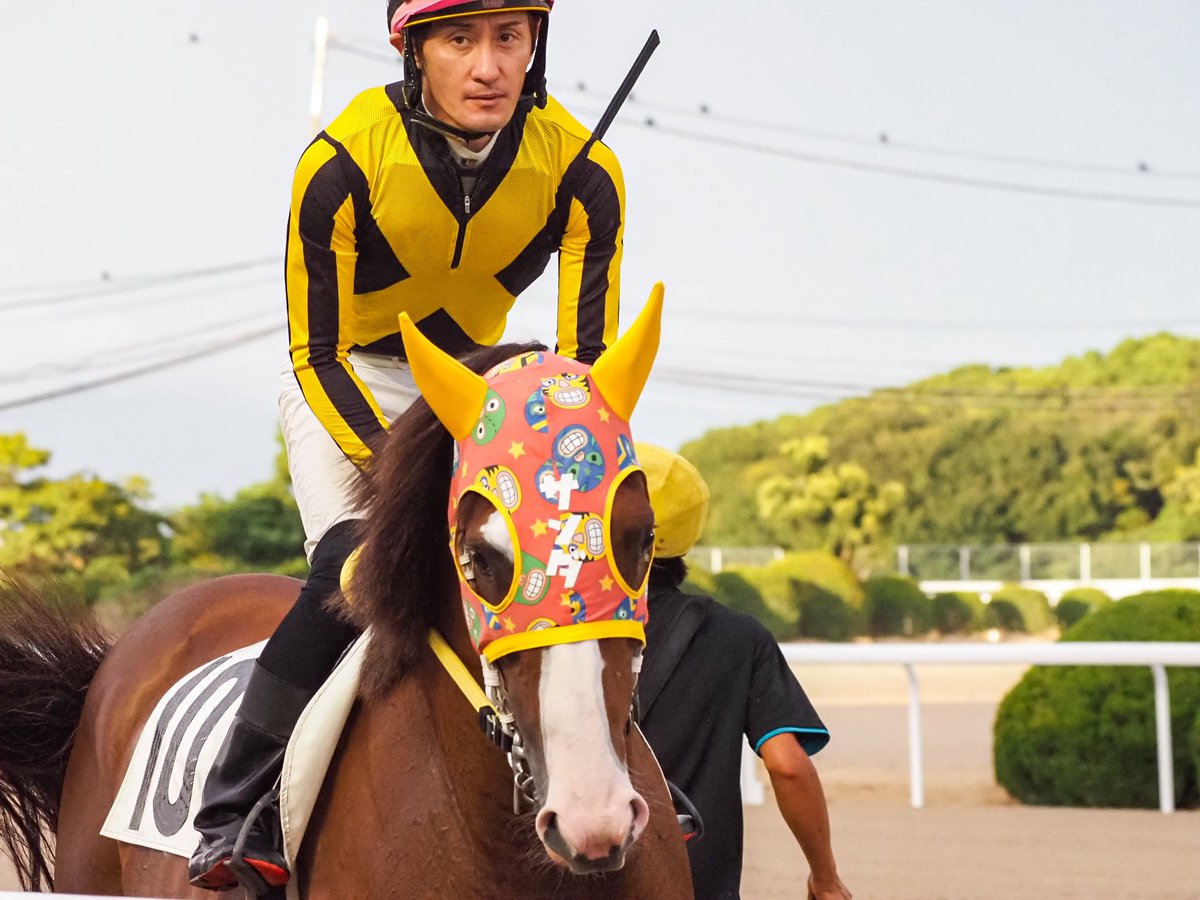サンダップルド×石川慎将騎手
おにゅうメンコで陽気なサンダくんのお出まし(っ´ω`c)♡
サンダくんをイメージして柄やフォントをチョイス💡
Arisuさんに素敵に仕上げてもらいました✨
これからも怪我なく元気に走れますように🍀
2025.9.4 8R C1-5組第4回BAOO優駿
#佐賀競馬
#さがけいばスナップ
