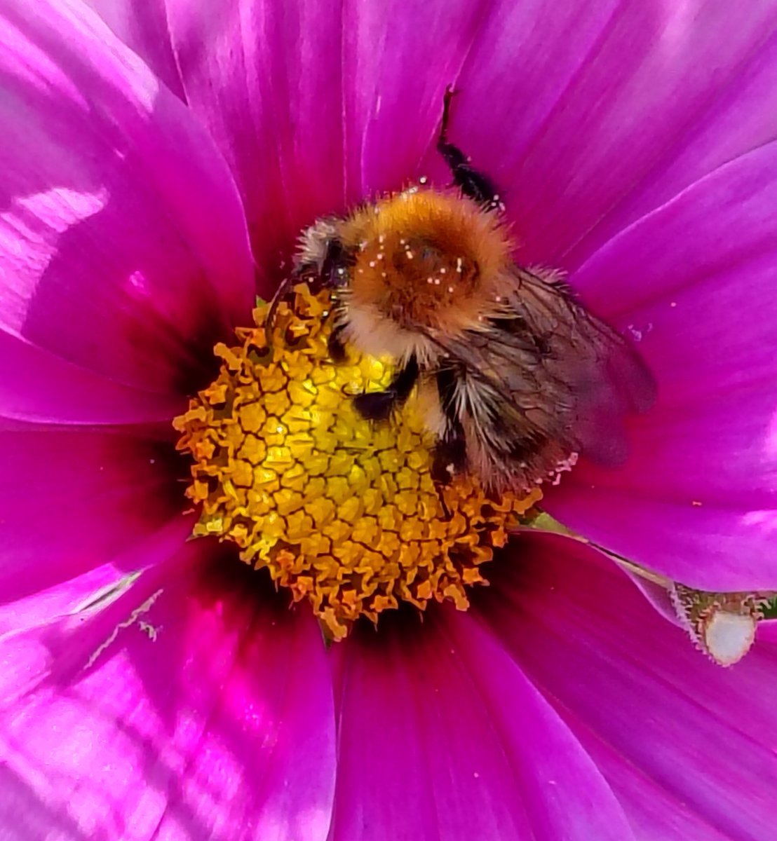 Julie 🏴Elizabeth 🏴 tweet media