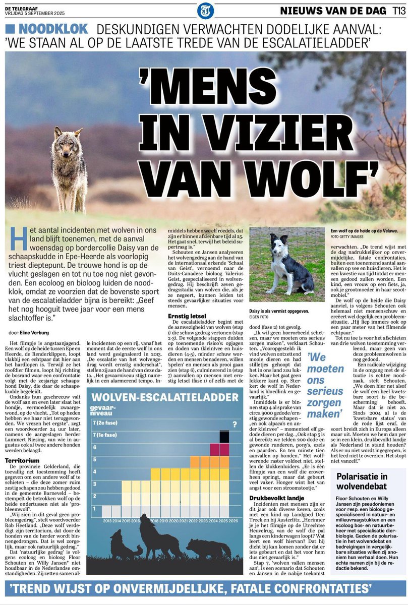 De bioloog en ecoloog voelen zich genoodzaakt om anoniem hun verhaal te doen. Er is geen normaal debat in Nederland over de wolf. Het is niet normaal dat zij zich niet openlijk kunnen uitspreken.