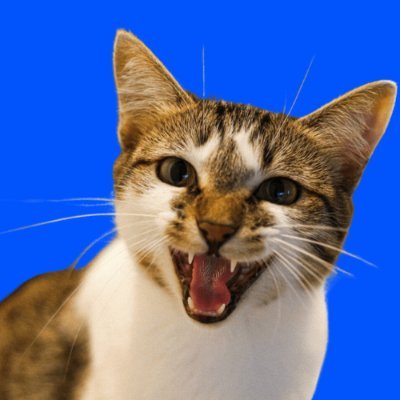 $MIAO Pre Birthday Airdrop 😻😻😻

Hey <a href="/bankrbot/">Bankr</a> , Everyone who commented $MIAO in the comment airdrop em 50k $MIAO each for free 🔥🔥

$Miao CA:
0x9cad4C14277A5f8757a50766dab93810B8a7ac60