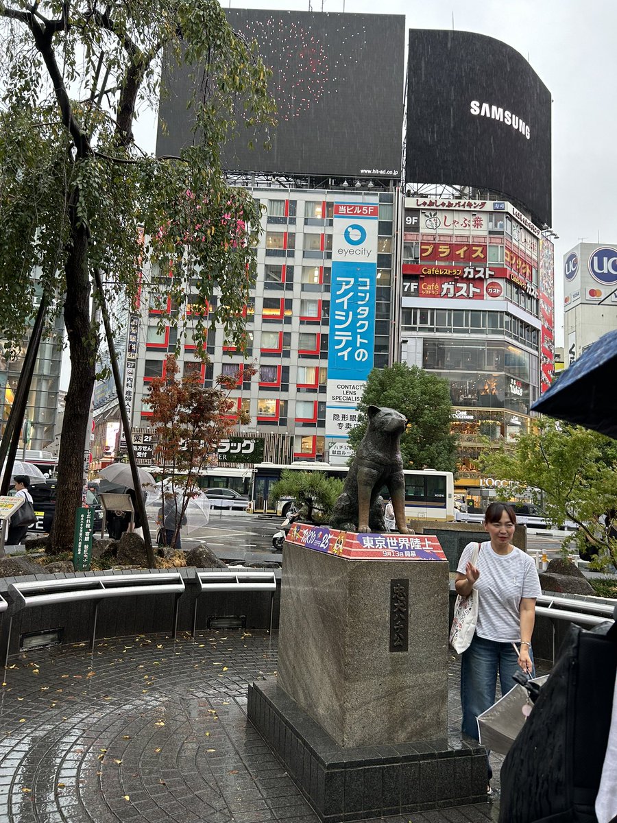 efefminmin's tweet photo. 本当に雨えぐい。
ハチ公お前も耐えろ！ https://t.co/3arigz1U3j