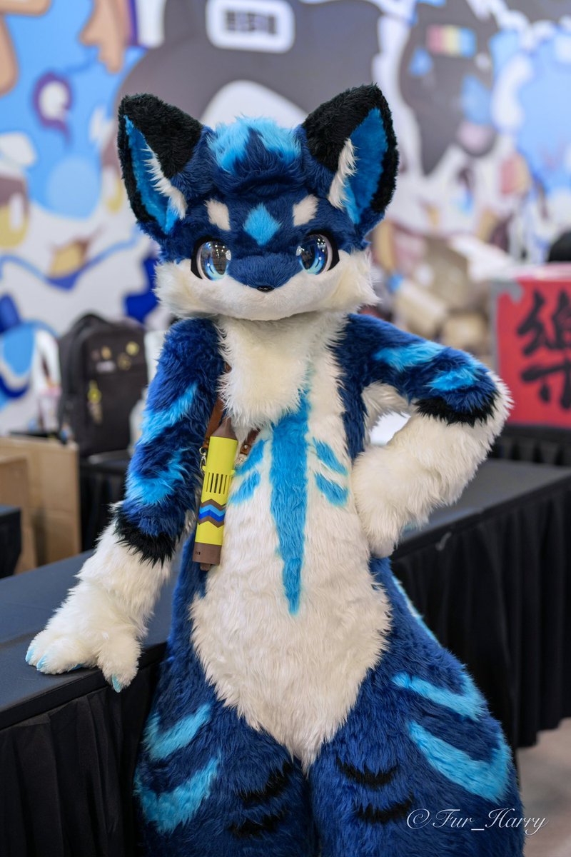 ELEN✨アタミ tweet media