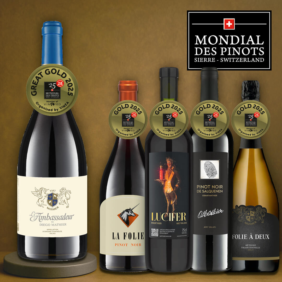 NouveauAG's tweet image. Rückblick Mondial des Pinots 
🥇 Grosses Gold: L’Ambassadeur de Diego Mathier Rot AOC VS
🥇 Golddiplome: La Folie, Lucifer, Non Filtre Oskar Mathier &amp;amp; Folie à Deux Brut

🌐 mathier-shop.com/de/alle-weine?…

#mathier #diegomathier #wallis #salgesch #walliserwein #MondialdesPinots