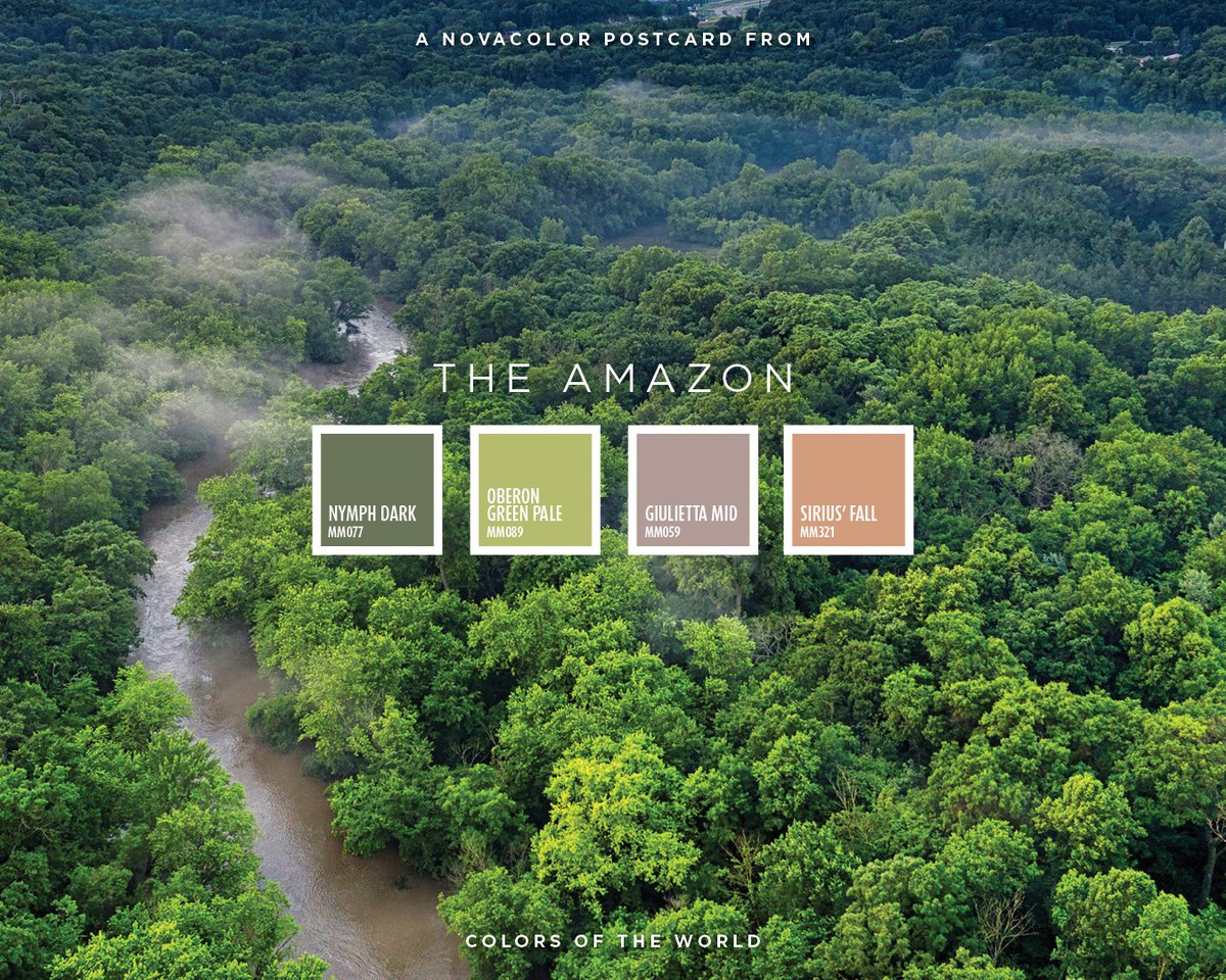 “Postcards from the Amazon”

Rain-soaked deep greens.
Warm, dense, tactile earth.
Light filtering through broad leaves.
Vivid yet natural tones.