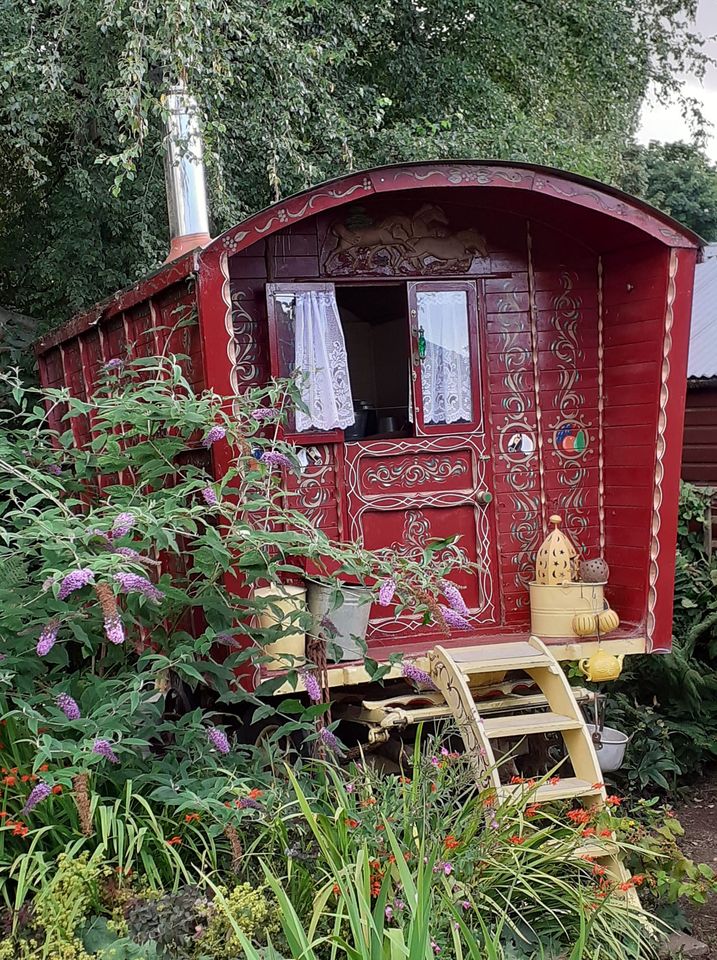 Steve Caple tweet media