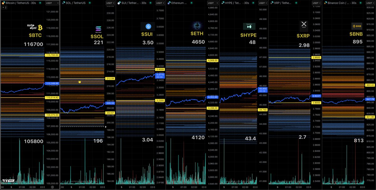 BTC、SOL、SUI、ETH、HYPE、XRP、BNBなど複数の暗号資産の清算水準を示すチャート