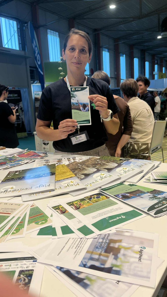 STAY Project Erasmus+ tweet media