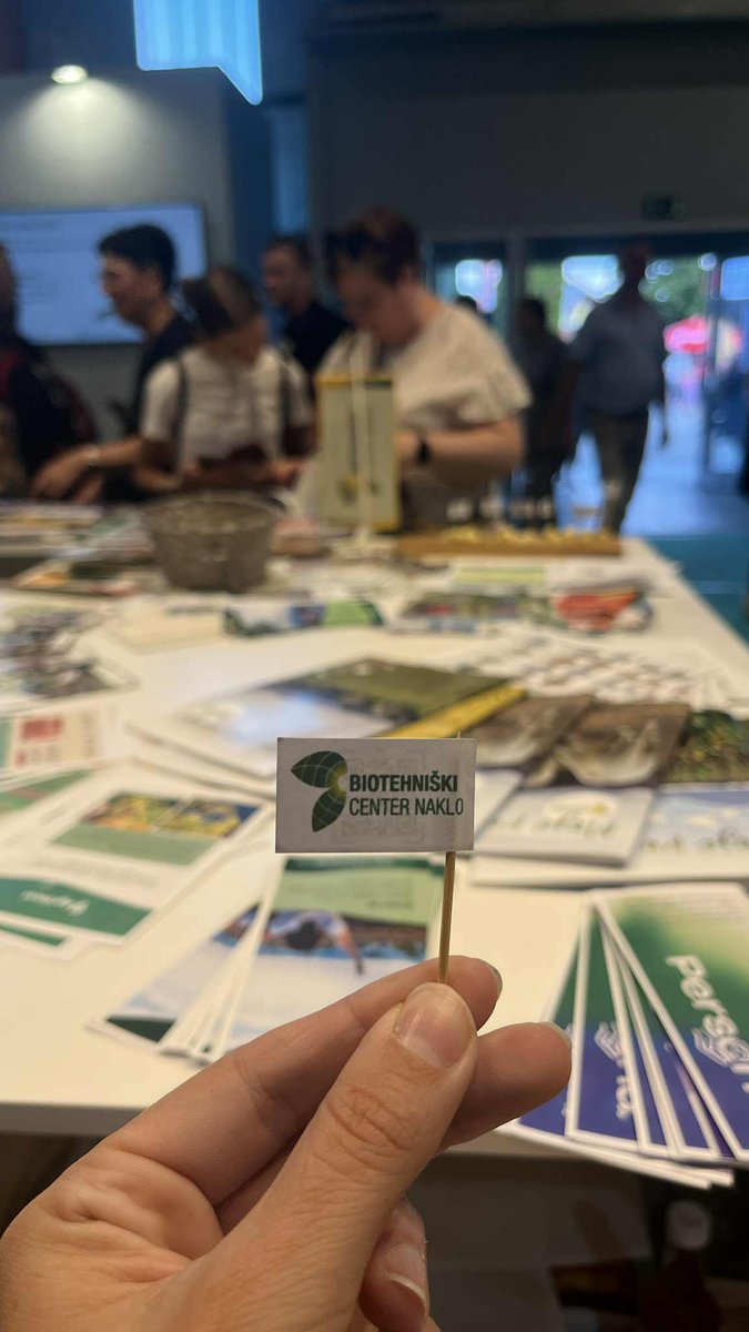 STAY Project Erasmus+ tweet media