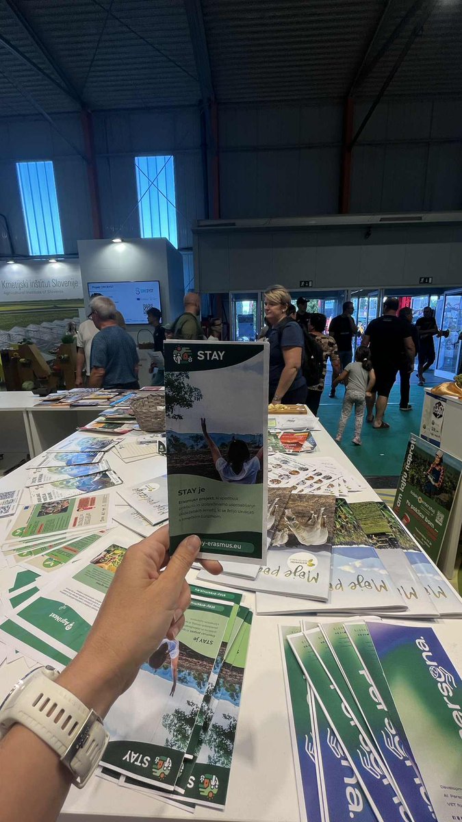 STAY Project Erasmus+ tweet media