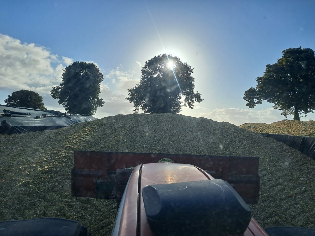 Jour 2
Pas de photo depuis les champs aujourd'hui. J'ai toujours considéré que le rôle de l'éleveur est au silo pour vérifier la qualité du hachage du maïs et la qualité du tassage pour la bonne conservation.
#CeuxQuiVousNourrissent 
#FrAgTw