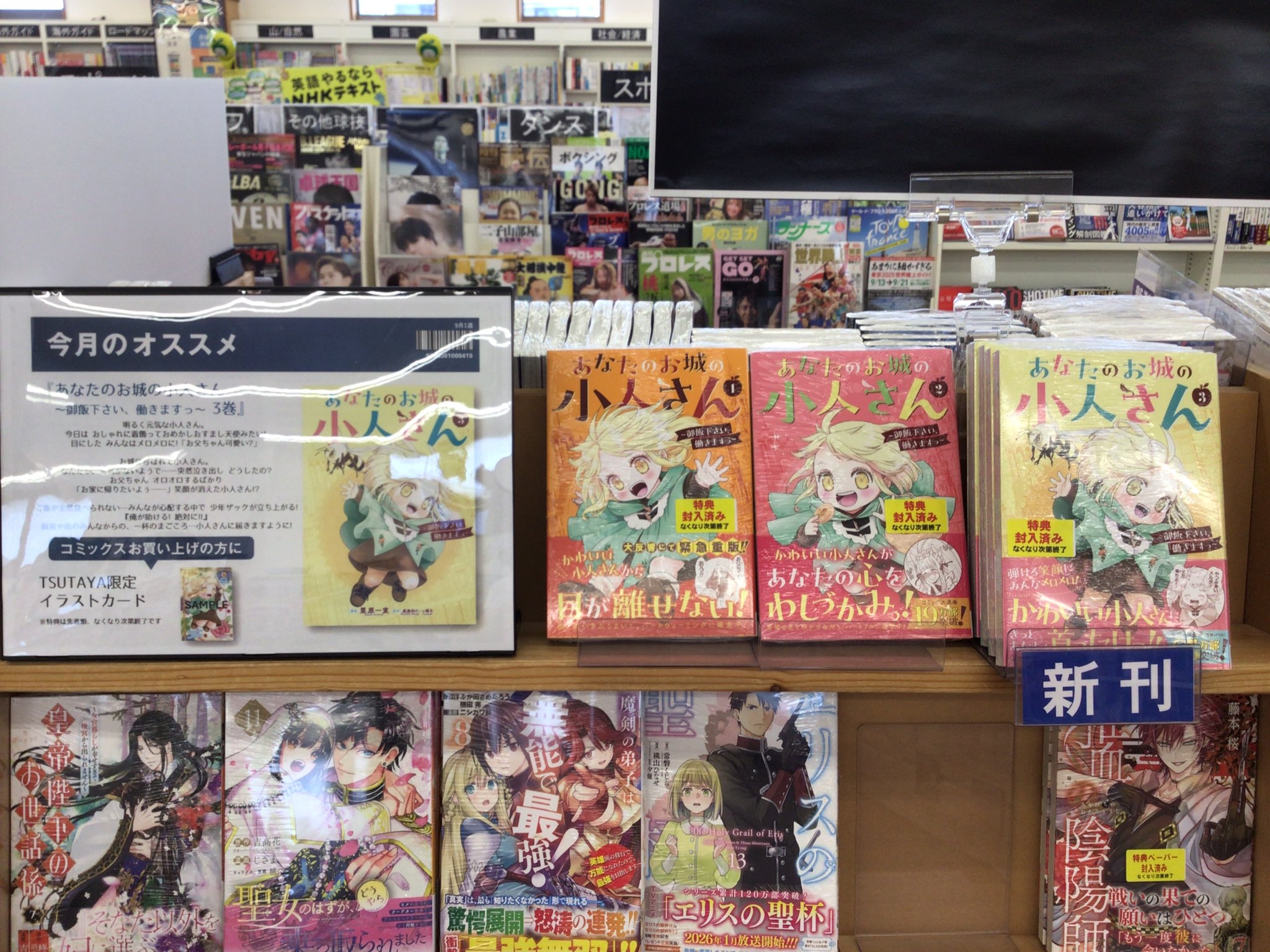 等々力30枚セット両面イラストカード【新品】TSUTAYA限定特典2025 等々力30枚セット両面イラストカード【新品】TSUTAYA限定特典