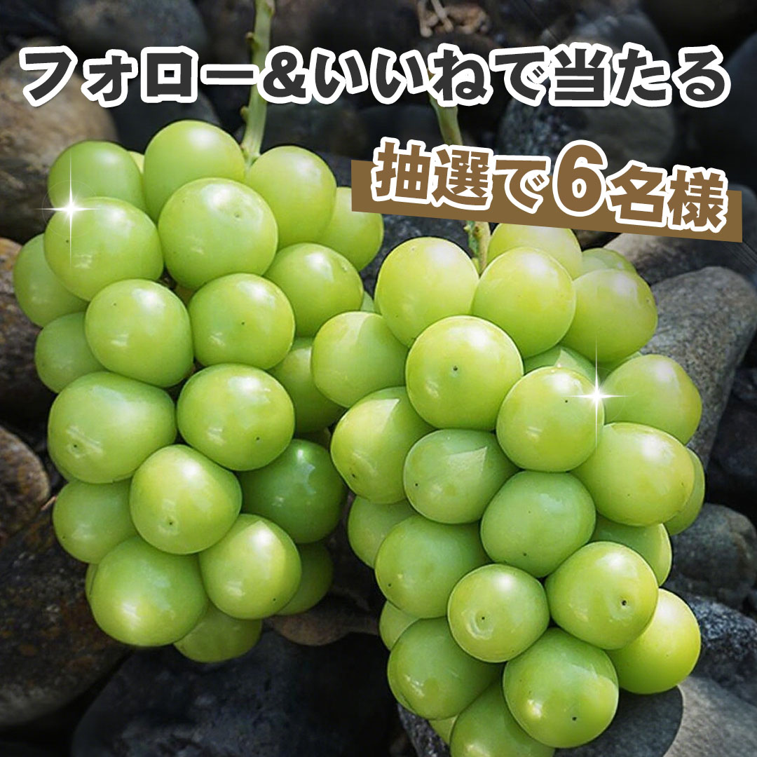 FOMEIð æ¯æ¥ãèåãã¬ãŒã³ã ãã£ã³ããŒã³ éå¬INGðž (@fukumidofm) on Twitter photo ïŒ ãã©ããŒïŒRPããã ãã§âïž
#ãã®å Žã§åœãã ð¯
#ãã£ã³ããŒã³ éå¬äžððð

åèš6â£åæ§ð
#ã·ã£ã€ã³ ãã¹ã«ããððð
ðå¿åæ¹æ³ð
1â£<a href="/FukumidoFM/">FOMEIð æ¯æ¥ãèåãã¬ãŒã³ã ãã£ã³ããŒã³ éå¬INGðž</a>ããã©ããŒ
2â£9/13 23:59è¿ã«RP
åœéžè
ã«ã®ã¿DMð
#æžè³ #ãã¬ãŒã³ãäŒç» #çŸå³ãã
#æ¡æ£åžæ #ãã¬ãŒã³ã #ã¶ã©ã ïŒ ãã©ããŒïŒRPããã ãã§âïž
#ãã®å Žã§åœãã ð¯
#ãã£ã³ããŒã³ éå¬äžððð

åèš6â£åæ§ð
#ã·ã£ã€ã³ ãã¹ã«ããððð
ðå¿åæ¹æ³ð
1â£<a href="/FukumidoFM/">FOMEIð æ¯æ¥ãèåãã¬ãŒã³ã ãã£ã³ããŒã³ éå¬INGðž</a>ããã©ããŒ
2â£9/13 23:59è¿ã«RP
åœéžè
ã«ã®ã¿DMð
#æžè³ #ãã¬ãŒã³ãäŒç» #çŸå³ãã
#æ¡æ£åžæ #ãã¬ãŒã³ã #ã¶ã©ã