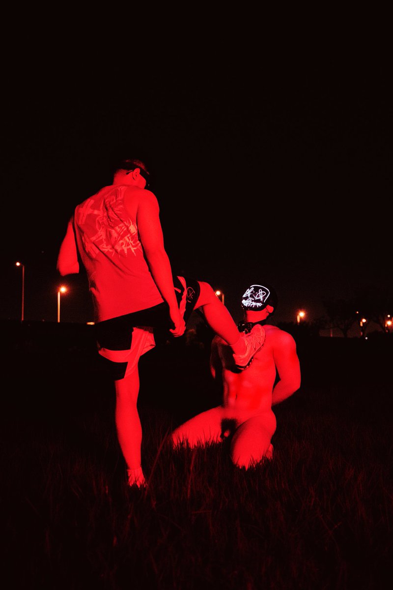 宸琛骑士 tweet media