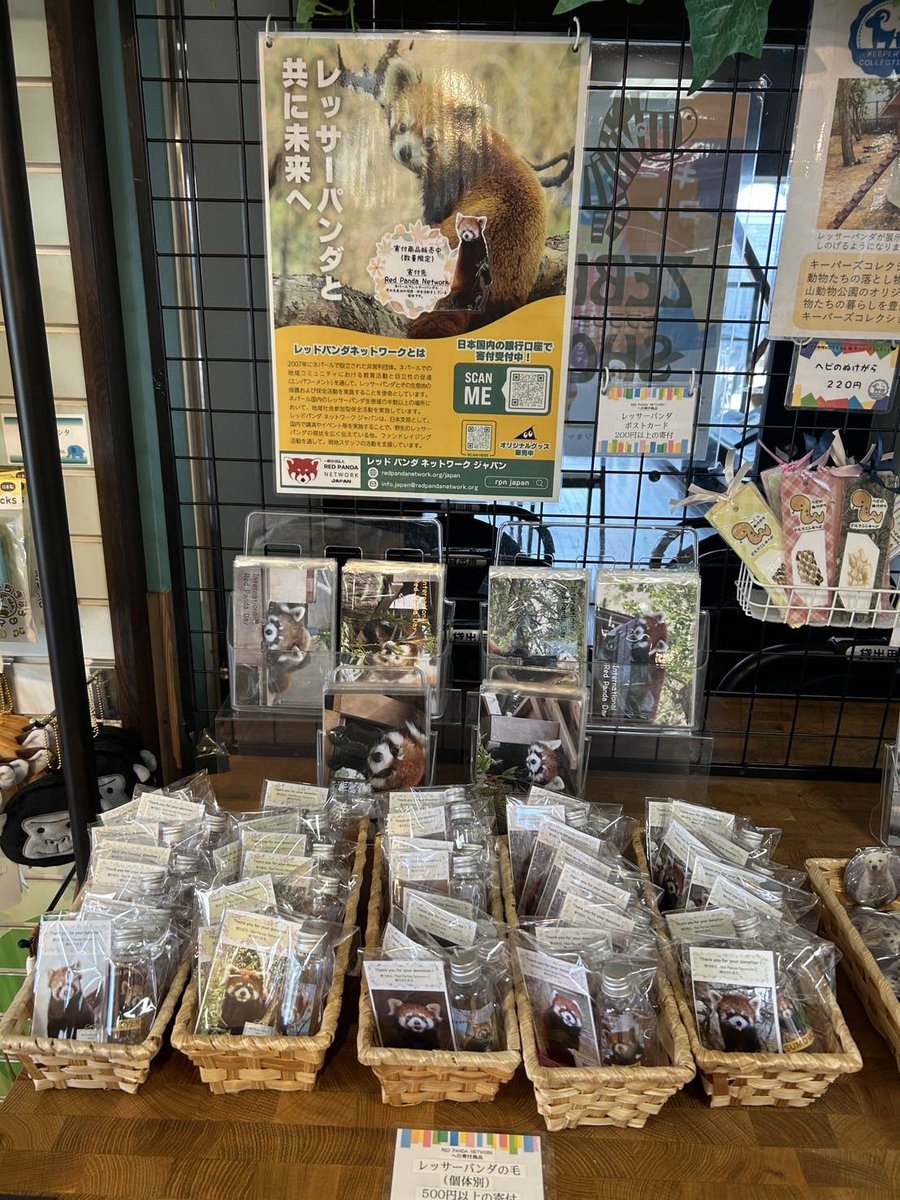 9月の #国際レッサーパンダデー にあわせ、園内ゼブラショップでは