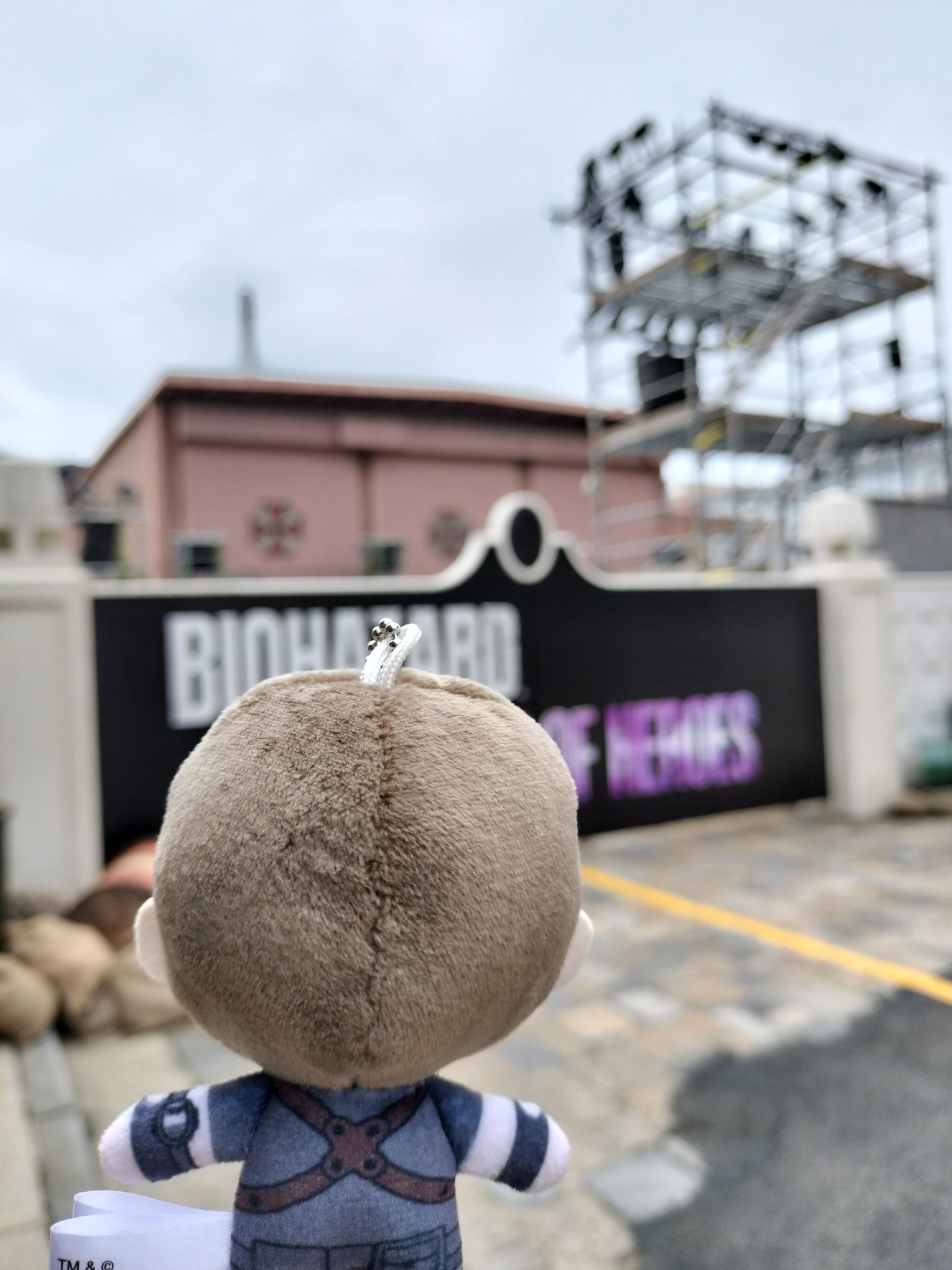 ★希少★】USJ サインフォト 「マン・オブ・スティール」【保証書あり 侍JAPAN (サムライジャパン) 応援グッズ Lサイズ ホワイト