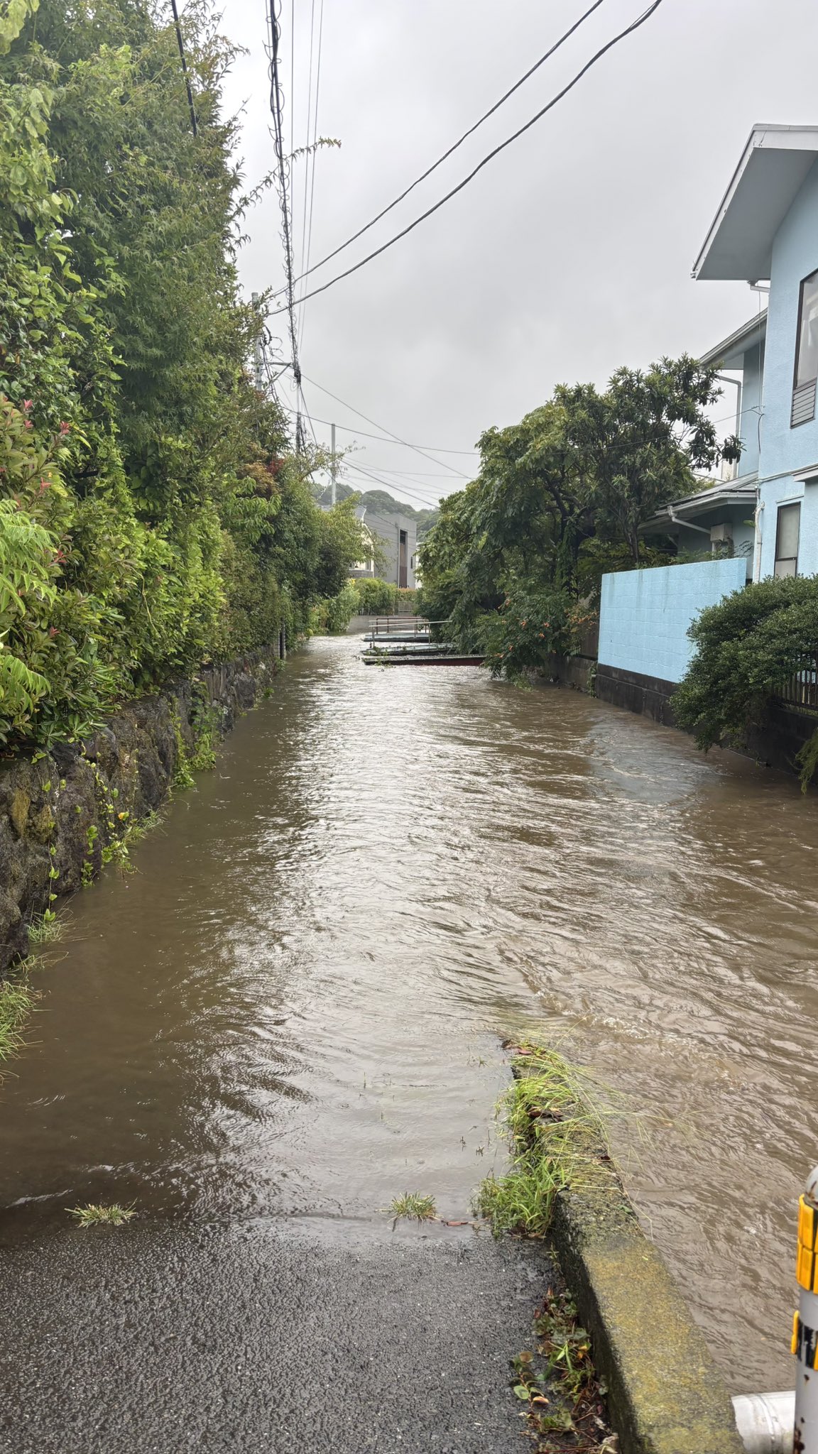 洪水 G0jRc1pbIAAsklZ.jpg