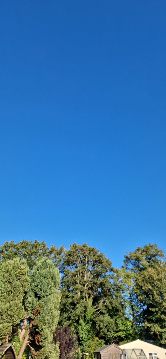 Helen Elderfield 💙 tweet media