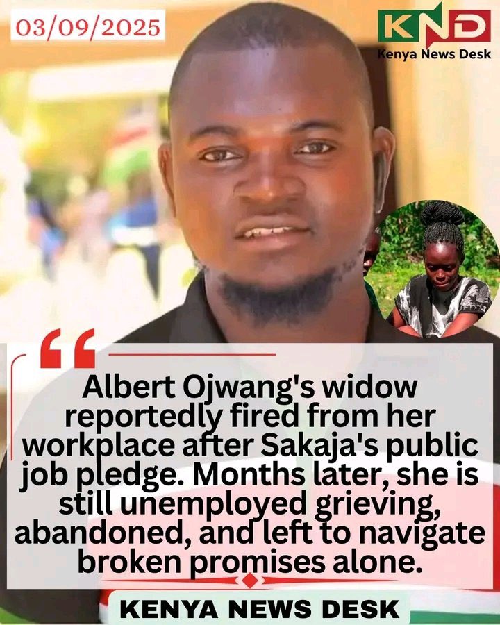 And some others gladly joined the compensation team,while the same gov can't sustain small pledges.

We have no country here