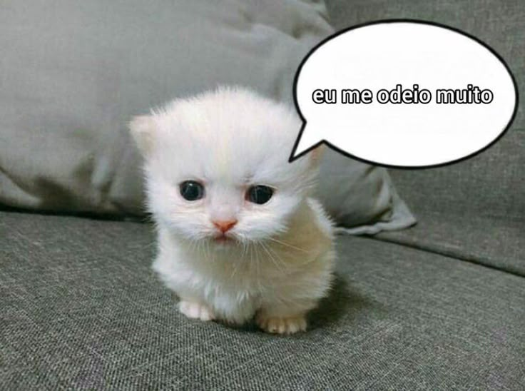 odeiootaco's tweet photo. https://t.co/efKXhfRnfW