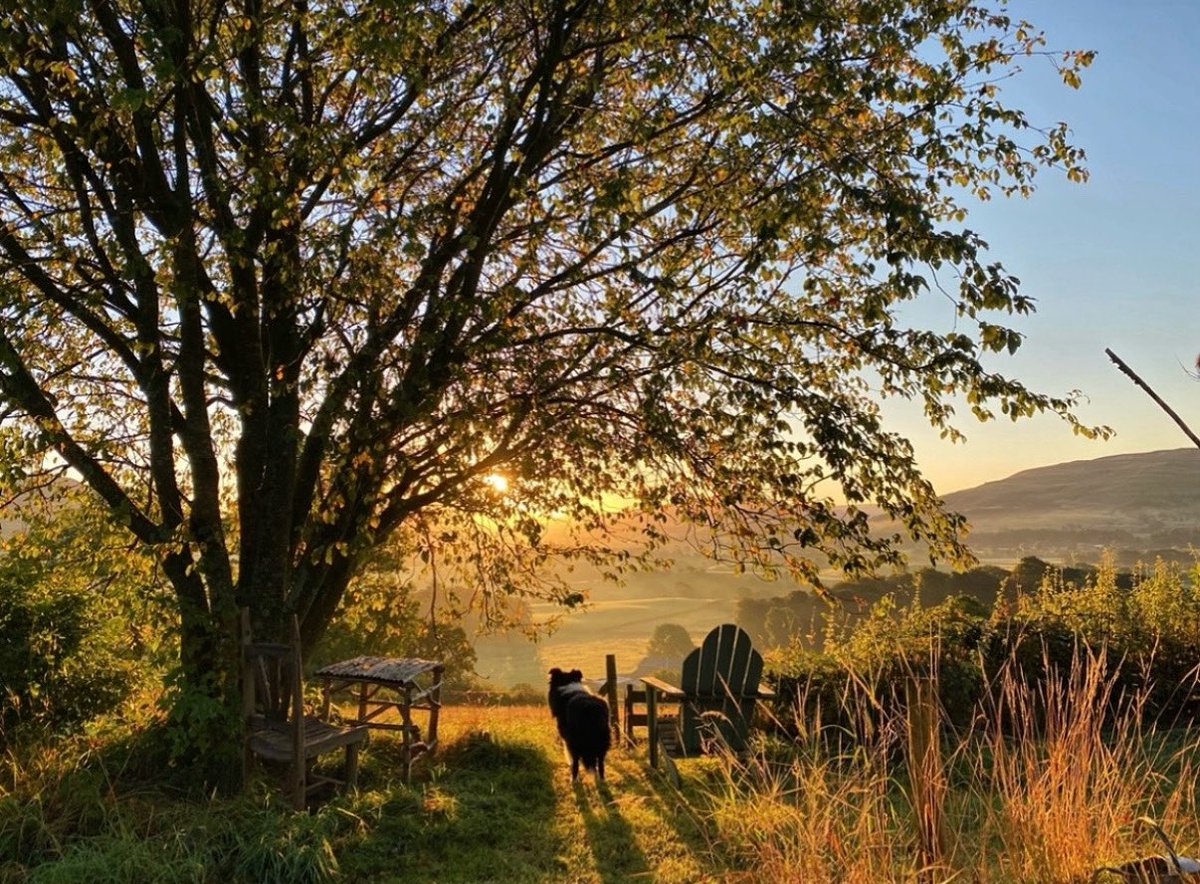 September mornings 🧡