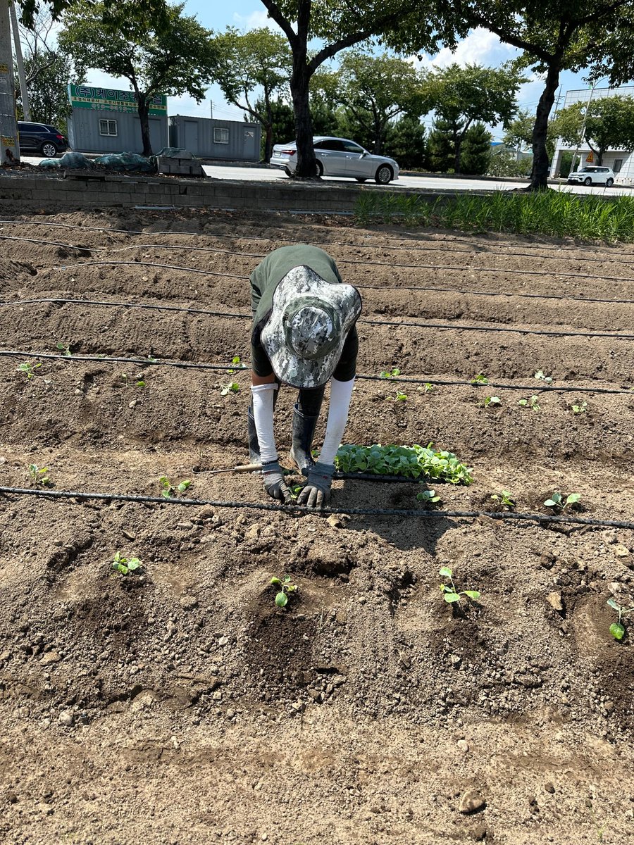 Rwandanfarmer's tweet photo. Field work irrigation system https://t.co/J4mrgG6mcU